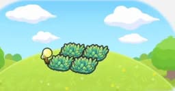 불빛 비춘 풀숲