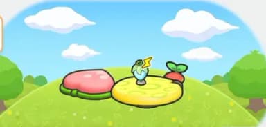 나무열매 대집합