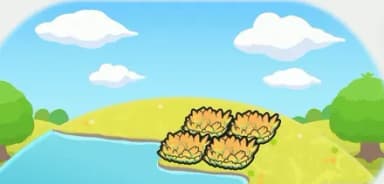 촉촉한 노란 풀숲