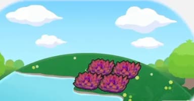 촉촉한 붉은 풀숲